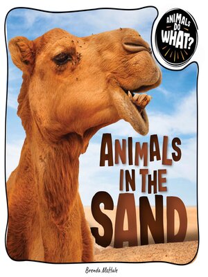 cover image of Animals in the Sand